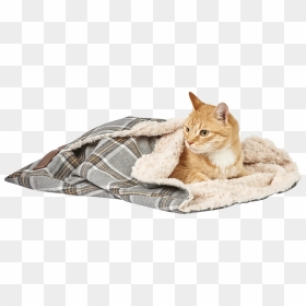 Tabby Cat, HD Png Download - sleeping cat png