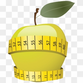 Vector Slimming Logo, HD Png Download - apple cartoon png