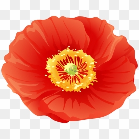 Red Poppy Flower Clip Art, HD Png Download - poppies png