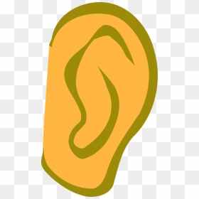 Ear Clip Art, HD Png Download - hear png
