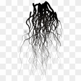 Black Veins Png Image With Transparent Background - Transparent Background Roots Png, Png Download - vein png