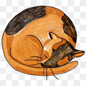Sleeping Cat Procreate Sleeping Cat Creative Market - Illustration, HD Png Download - sleeping cat png
