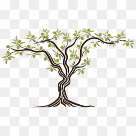 Olive Tree Clipart Png Library Stock Stefas Mediterranean - Transparent Background Olive Tree Clipart, Png Download - olive tree png