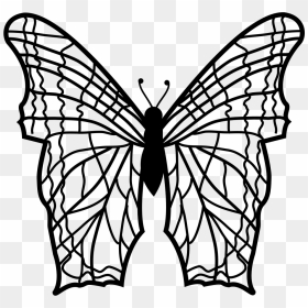 Butterfly With Complex Thin Lines Pattern Wings From - Mariposa En Lineas, HD Png Download - thin line png