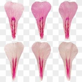 Transparent Flower Texture Png - Artificial Flower, Png Download - flower texture png