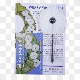 White Poppies 5 Pack - Delphinium, HD Png Download - poppies png
