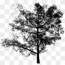 Clipart Árvore - Arvore Png - Silhueta Arvore Com Coracoes Png, Transparent Png - arvore png
