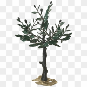 Bronze Olive Tree - Gambel Oak, HD Png Download - olive tree png