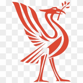 Liverpool Trampoline Club - Liverpool City Logo Png, Transparent Png - liverpool png