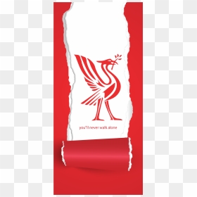 Liverpool - Koinobori, HD Png Download - liverpool png
