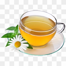 Chamomile Tea Png, Picture - Chamomile Tea Png, Transparent Png - chamomile png