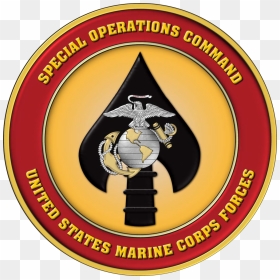 Marine Corps Forces Special Operations Command Seal - Marine Special Operations Command Logo, HD Png Download - marine corps logo png
