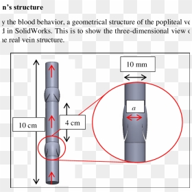 Diagram, HD Png Download - vein png