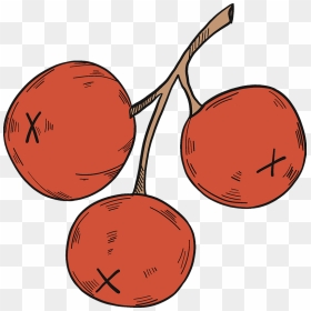 Three Cranberries Clipart, HD Png Download - cranberries png