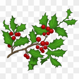 Holly Branch Clipart, HD Png Download - holly leaf png