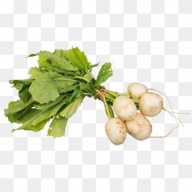 Turnips Png Image - Turnips Png, Transparent Png - turnip png