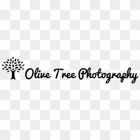 Olive Tree Png, Transparent Png - olive tree png