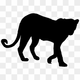 Tiger Lion Vector Graphics Royalty-free Illustration - Tiger Silhouette Vector Png, Transparent Png - lion vector png