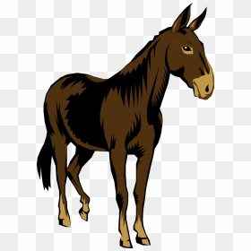 Thumb Image - Mule Clip Art, HD Png Download - mule png