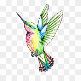 Hummingbird Tattoos Png Clipart - Clip Art, Transparent Png - color tattoo png