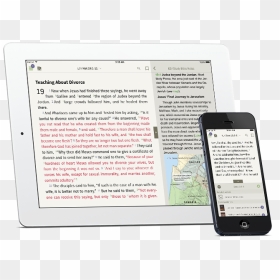 The Olive Tree Bible App - Iphone, HD Png Download - olive tree png