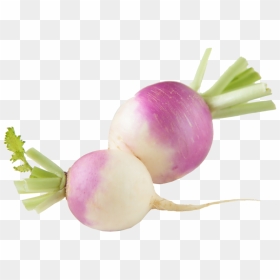 Transparent Turnip Clipart - Turnip Png, Png Download - turnip png