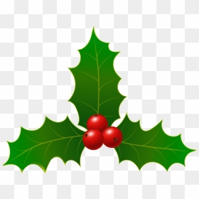 Christmas Holly Clip Art Image , Png Download - Christmas Holly Clipart, Transparent Png - christmas holly border png