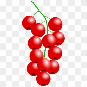 Clipart Cranberry, HD Png Download - cranberries png