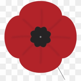 Remembrance Day Statement - Cut Flowers, HD Png Download - poppies png