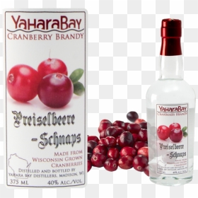 Caritas India, HD Png Download - cranberries png
