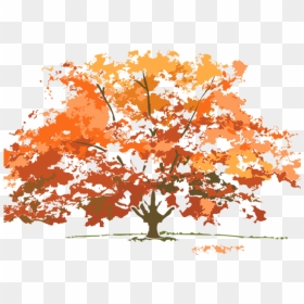 Thanksgiving 2019 Images Free, HD Png Download - fall tree clipart png