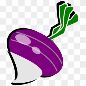 Turnip Clip Arts - Turnip Clipart, HD Png Download - turnip png