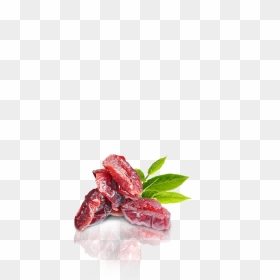 Rosa Glauca, HD Png Download - cranberries png
