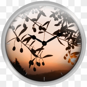 Italy Tuscany Olive Tree At Sunrise - Circle, HD Png Download - olive tree png