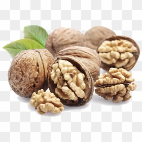 Transparent Walnut Png - Walnuts Meaning In Hindi, Png Download - walnuts png