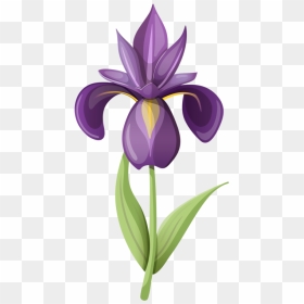 Iris Flower Clip Art, HD Png Download - iris flower png