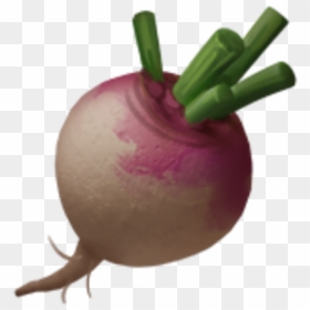 Turnip Png, Transparent Png - turnip png