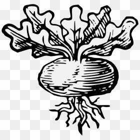 Turnip , Png Download - Black And White Icon Of Turnip, Transparent Png - turnip png