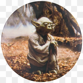 Yoda Star Wars Entertainment Button Museum - Baby Yoda Meme Dad, HD Png Download - star wars yoda png