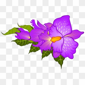 ภาพ วาด ดอก ไอ ริ ส, HD Png Download - iris flower png