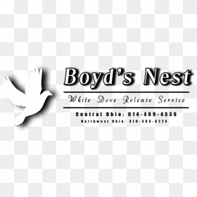 Calligraphy, HD Png Download - white doves png