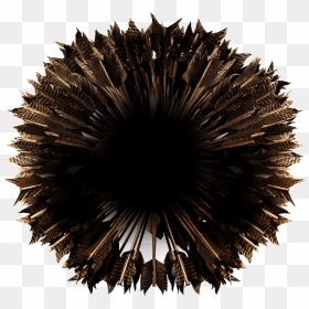 Sea Urchin , Png Download - Symmetry, Transparent Png - sea urchin png