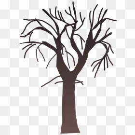Tree Bare Branches - Bare Tree Png Clipart, Transparent Png - fall tree clipart png