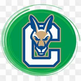 Suny Canton Athletics Logo , Png Download - Suny Canton Roos, Transparent Png - green dot png