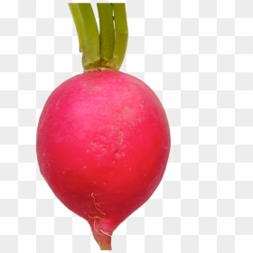 Radish Background Png - Редиска Розовая, Transparent Png - turnip png