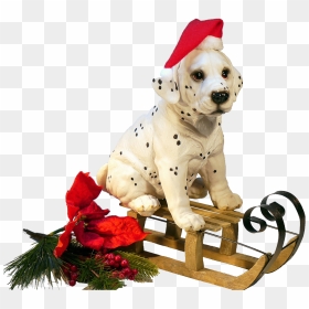 Transparent Christmas Dog Clipart, HD Png Download - snow .png