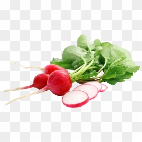 Radish Png, Transparent Png - turnip png