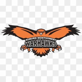 Auburn Montgomery Logo - Warhawks Auburn University Montgomery Logo, HD Png Download - auburn university logo png