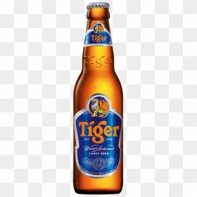 Tiger Beer Bottle, HD Png Download - pint of beer png