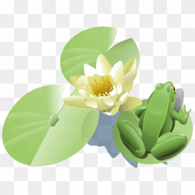 Frog On A Lily Pad Clip Arts - Frog Lily Pad Clip Art, HD Png Download - lilly pad png